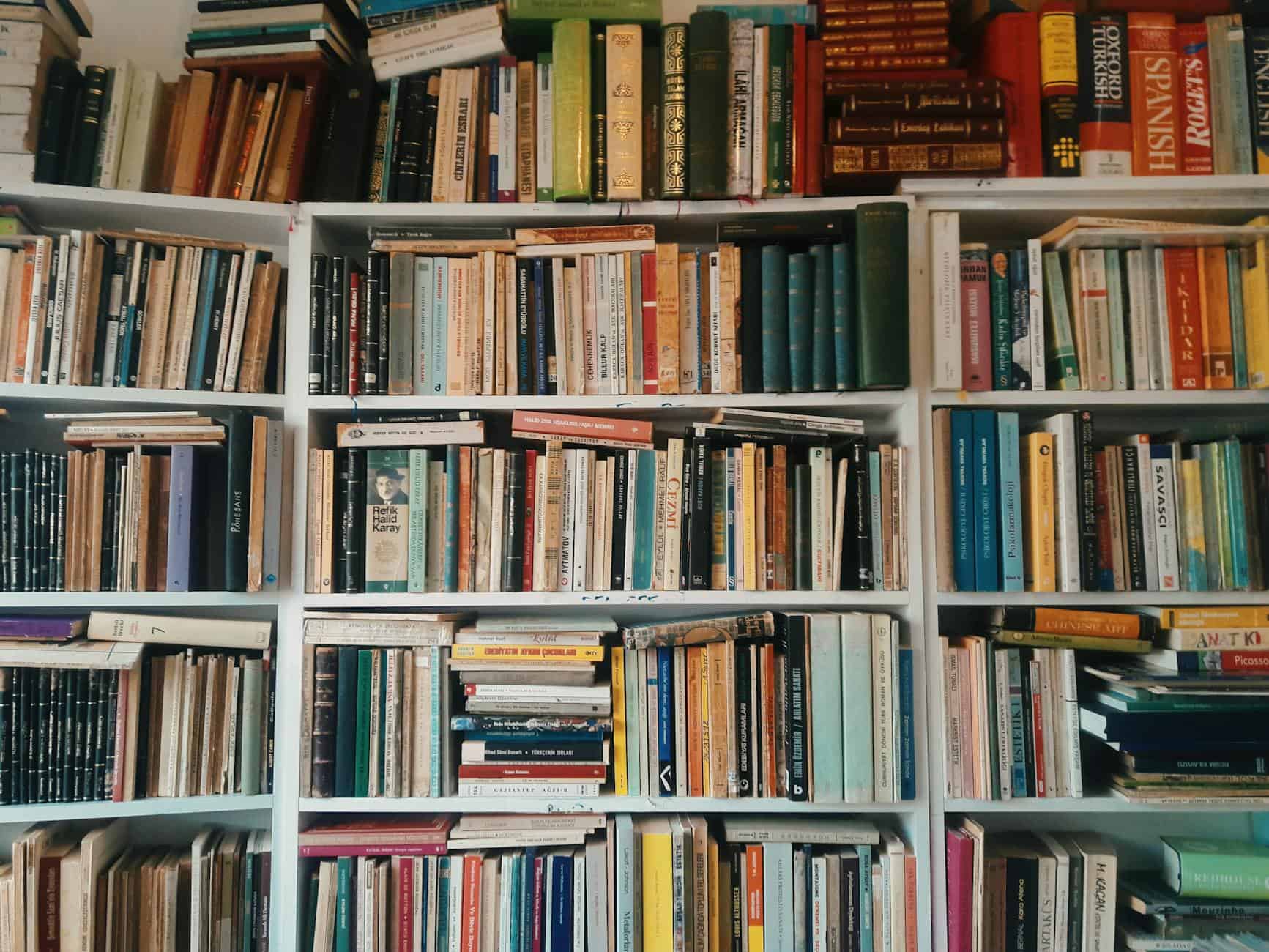 books on wooden shelves